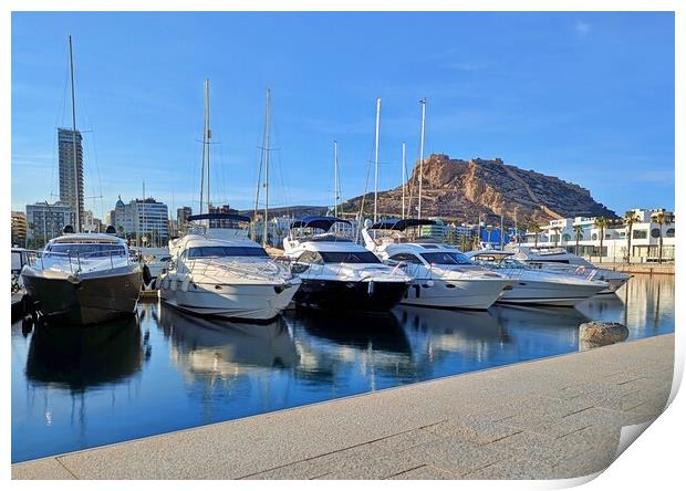 Yachts in Alicante marina Print by Antony Robinson