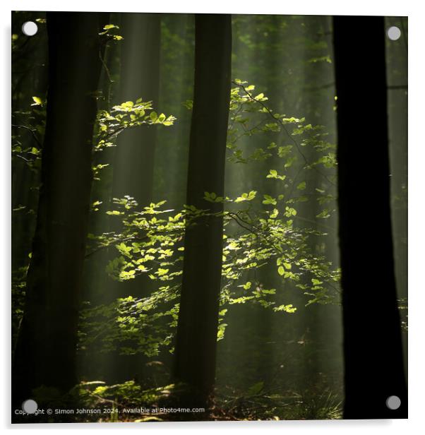 sunlit woodland and leaves with early morning shafts of light Acrylic by Simon Johnson