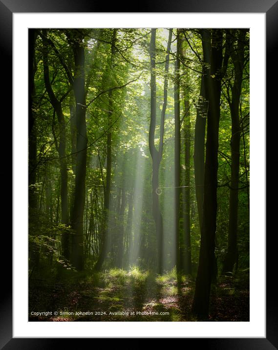 sunlit woodland  with early morning shafts of light Framed Mounted Print by Simon Johnson