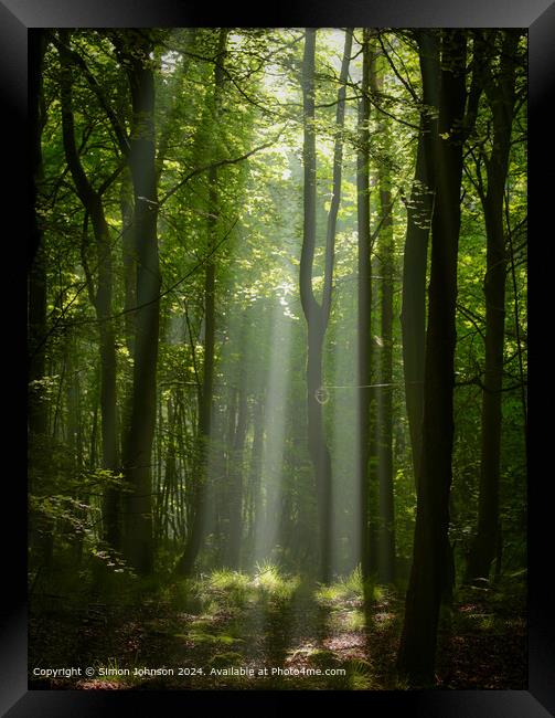sunlit woodland  with early morning shafts of light Framed Print by Simon Johnson