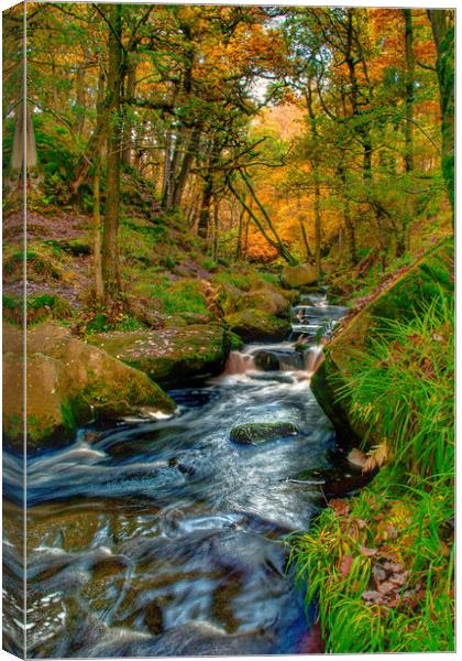 Padley Gorge Canvas Print by Alison Chambers