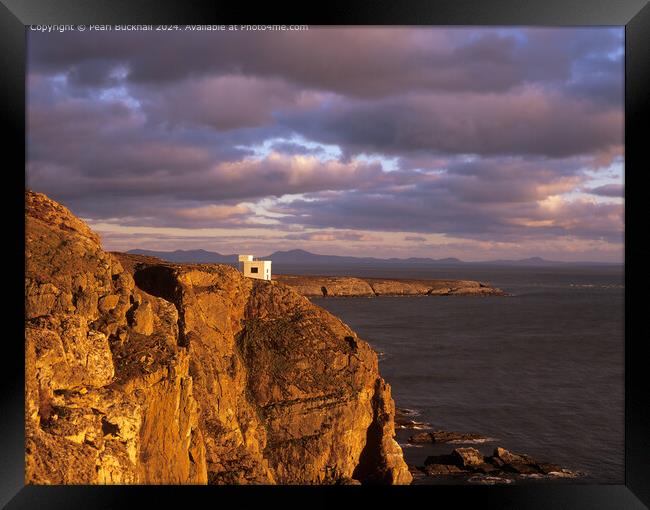 Ellins Tower on Sea Cliffs at Sunset, Anglesey Framed Print by Pearl Bucknall