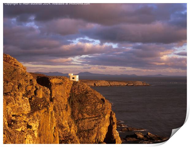 Ellins Tower on Sea Cliffs at Sunset, Anglesey Print by Pearl Bucknall