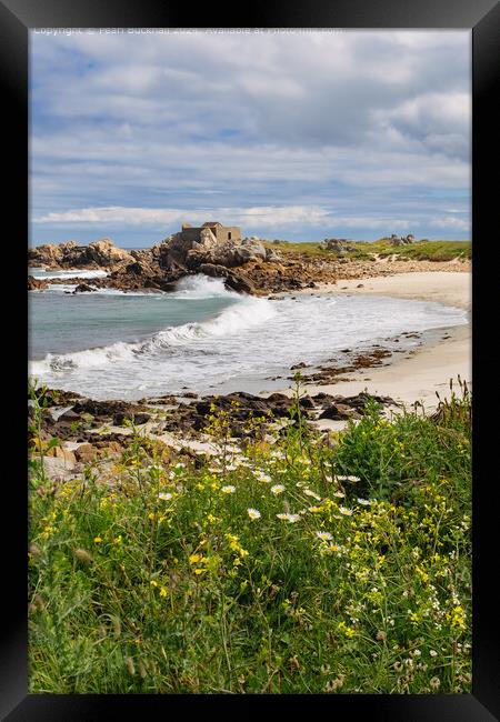 Guernsey Coastal Wildflowers and Fort Pembroke Framed Print by Pearl Bucknall