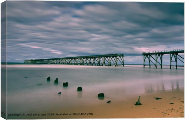 Steetley Pier Hartlepool Long Exposure Canvas Print by Andrew Briggs