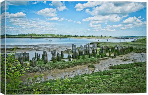 River Crouch Landing Stages Canvas Print by Peter Bolton