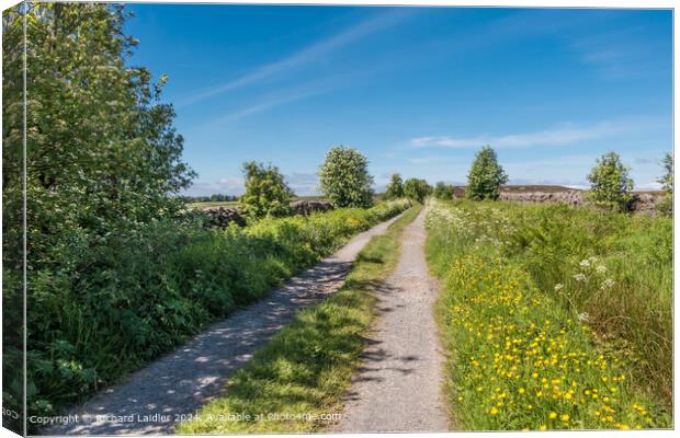 Early Summer Morning on Botany Road, Teesdale Canvas Print by Richard Laidler
