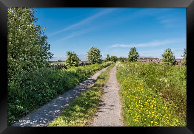 Early Summer Morning on Botany Road, Teesdale Framed Print by Richard Laidler