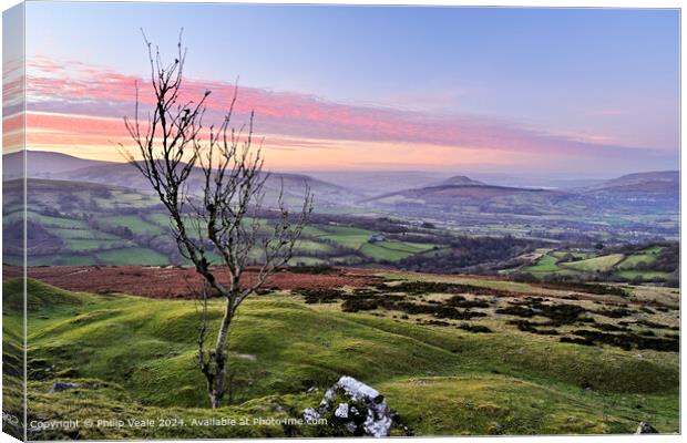 Llangynidr Moors Lone Tree Landscape Canvas Print by Philip Veale