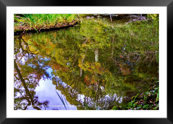 Colorful autumn water reflection abstract garden lake Heian Shrine Kyoto Japan Framed Mounted Print by William Perry