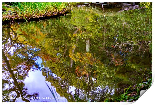 Colorful autumn water reflection abstract garden lake Heian Shrine Kyoto Japan Print by William Perry