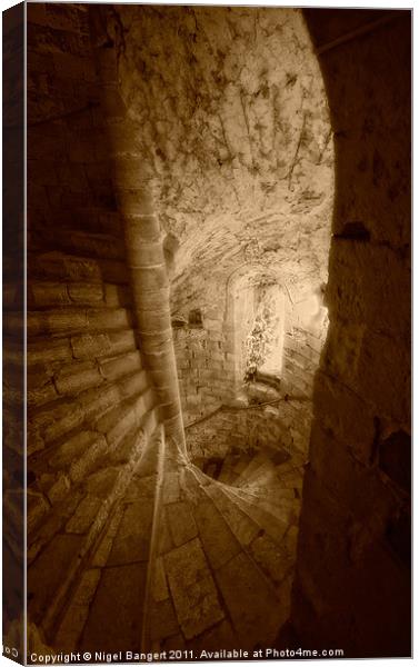Castle Stairs Canvas Print by Nigel Bangert