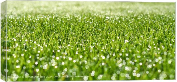 dew drops on grass Canvas Print by Simon Annable