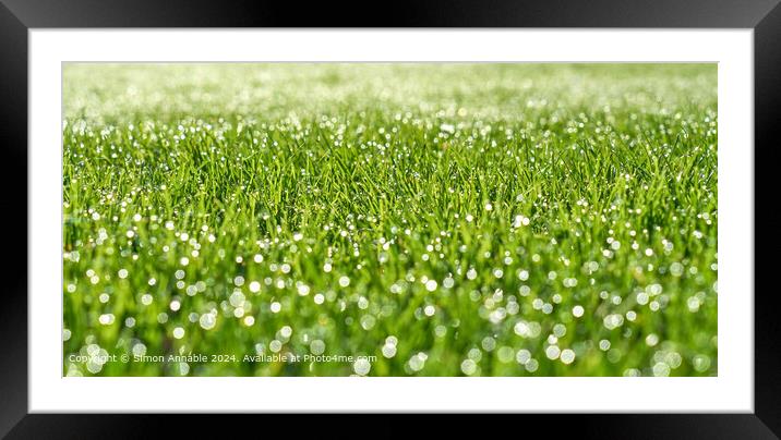 dew drops on grass Framed Mounted Print by Simon Annable