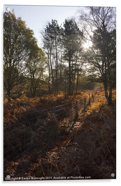 Dunwich Heath Woodland Scene Acrylic by Darren Burroughs