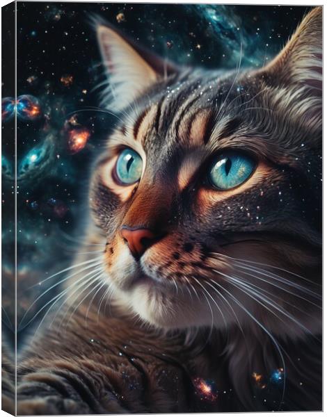 Universe Reflection in Cat's Eyes Canvas Print by Paddy P