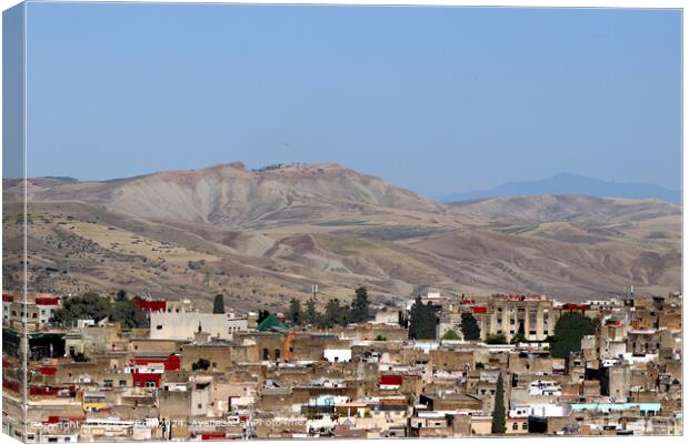 Fes Morocco Cityscape Canvas Print by Paul Clifton