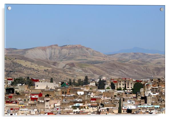 Fes Morocco Cityscape Acrylic by Paul Clifton