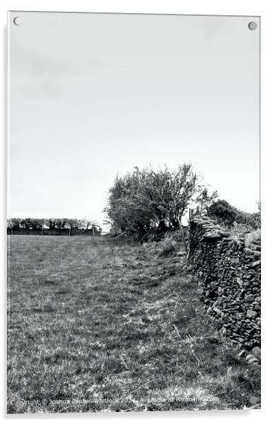 Eglwysilan Road Stone Wall Landscape Acrylic by Joshua Panter-Whitlock
