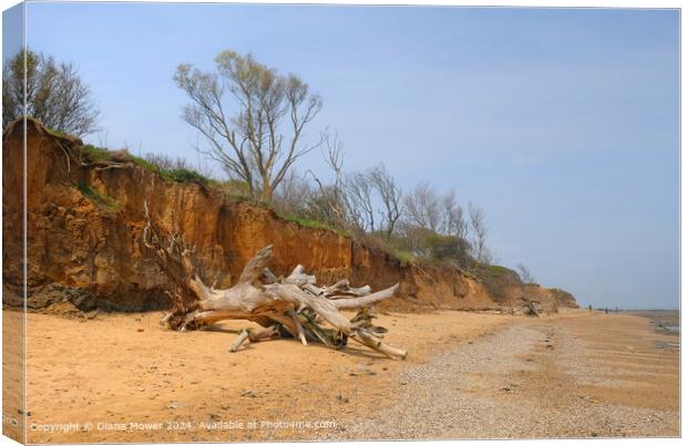 Walton on the Naze Cliff Erosion Canvas Print by Diana Mower
