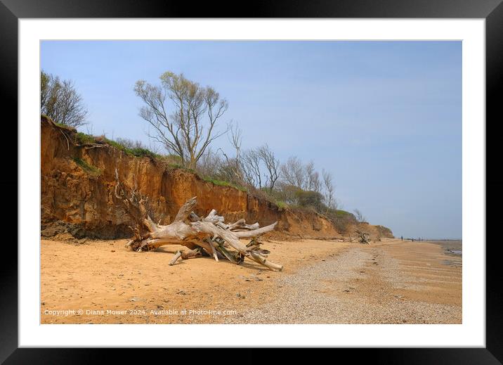 Walton on the Naze Cliff Erosion Framed Mounted Print by Diana Mower