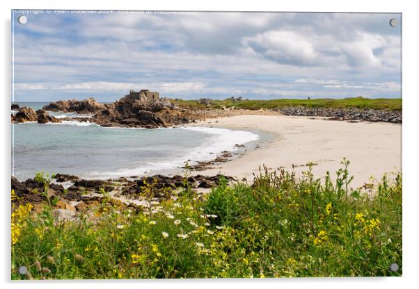 Guernsey Coastal Wildflowers and Fort Pembroke Acrylic by Pearl Bucknall