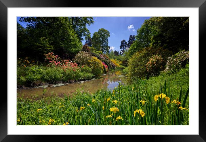 Leonardslee Lakes Garden Landscape Framed Mounted Print by John Gilham