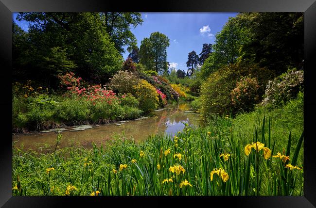 Leonardslee Lakes Garden Landscape Framed Print by John Gilham