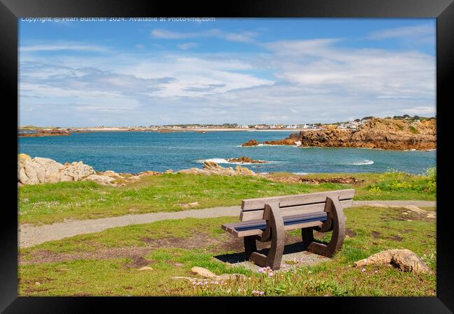 Bench with a Coastal View Guernsey Framed Print by Pearl Bucknall