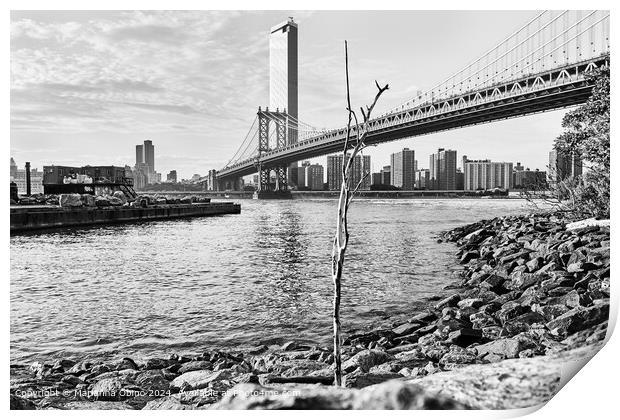 The tree and the bridge  Print by Marianna Obino