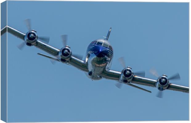 Douglas DC6 Flying Bulls Canvas Print by J Biggadike