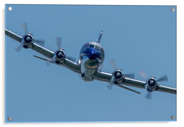 Douglas DC6 Flying Bulls Acrylic by J Biggadike