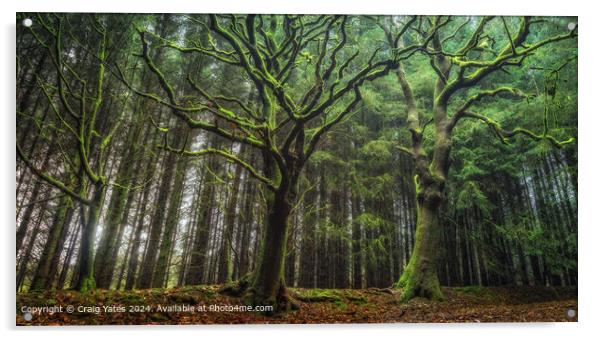 Gisburn Forest Green Landscape Acrylic by Craig Yates