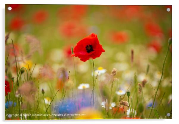 Poppy Field Landscape Cotswolds Acrylic by Simon Johnson