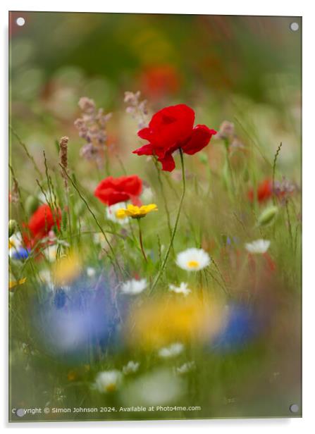 Poppy Flowers Cotswolds Gloucetershire UK Acrylic by Simon Johnson