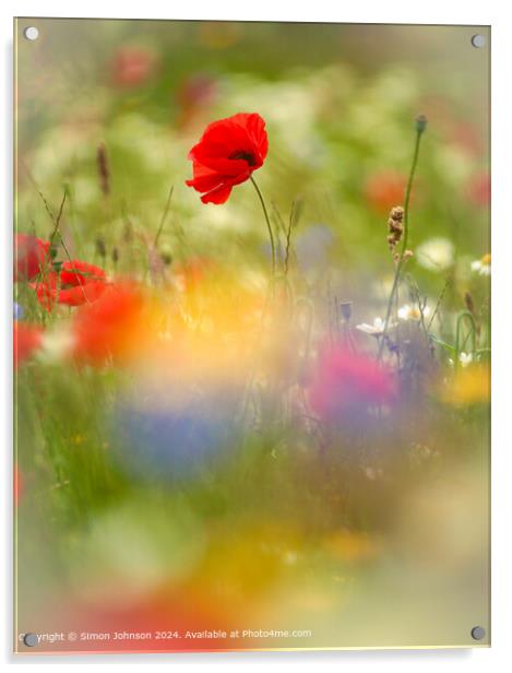 Poppy Meadow Landscape Cotswolds Acrylic by Simon Johnson