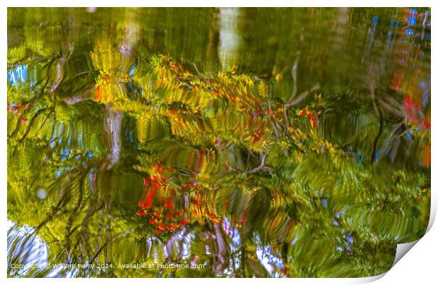 Heian Shinto Shrine Autumn Reflection Print by William Perry