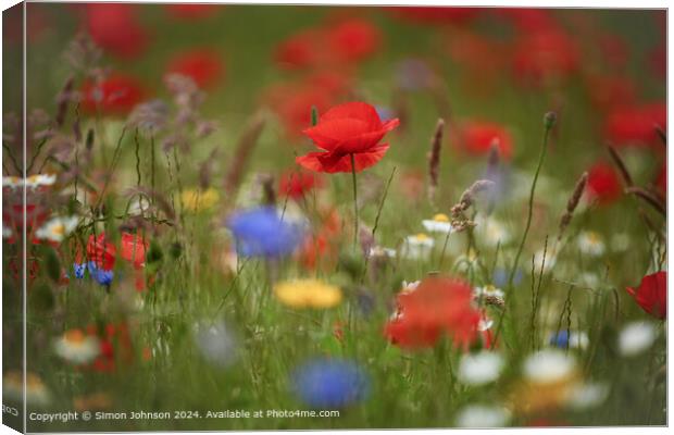 Poppy Flowers Cotswolds Gloucetershire Canvas Print by Simon Johnson