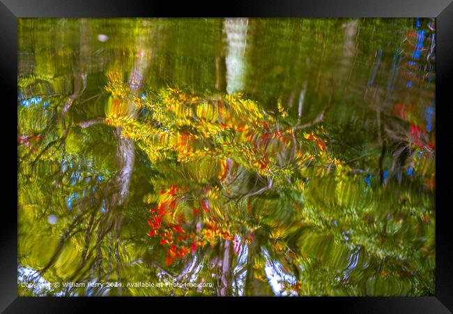 Vibrant Autumn Water Reflection Abstract KyotoJapan Framed Print by William Perry