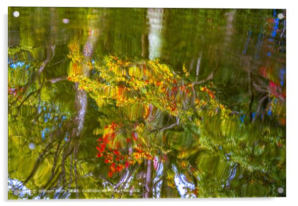 Vibrant Autumn Water Reflection Abstract KyotoJapan Acrylic by William Perry