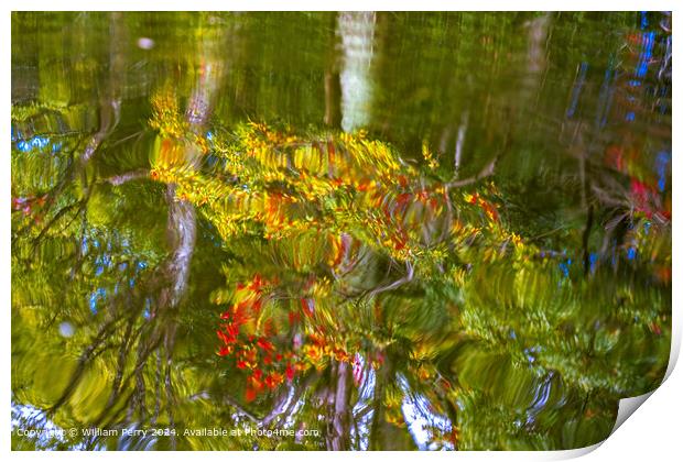 Vibrant Autumn Water Reflection Abstract KyotoJapan Print by William Perry