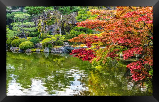 Vibrant Autumn Reflection, Heian Shrine, Kyoto Framed Print by William Perry