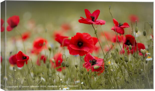 Vibrant British Poppy Field Canvas Print by Simon Johnson