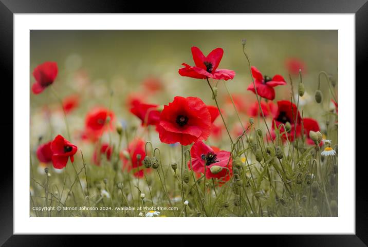 Vibrant British Poppy Field Framed Mounted Print by Simon Johnson