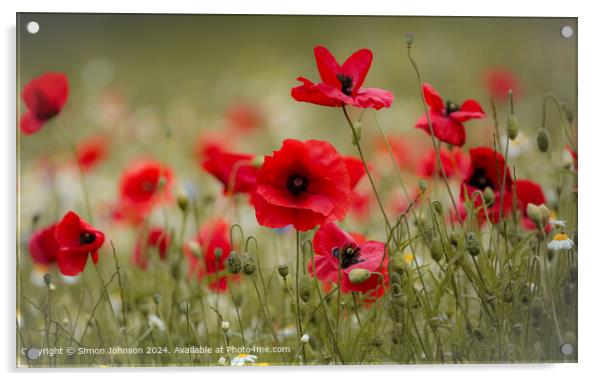Vibrant British Poppy Field Acrylic by Simon Johnson
