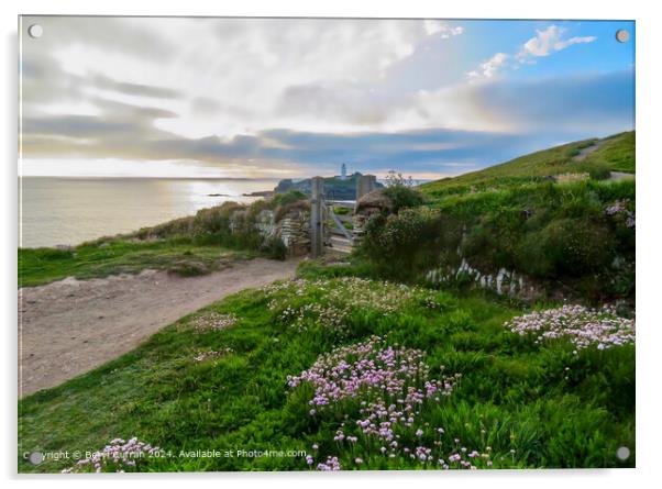 Godrevy Lighthouse Sunset Landscape Acrylic by Beryl Curran