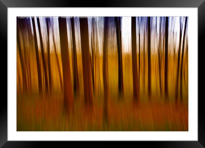 Blurred Trees Abstract Nature Framed Mounted Print by Derek Daniel