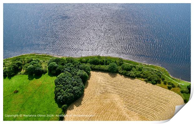 Lake District Aerial View  Print by Marianna Obino