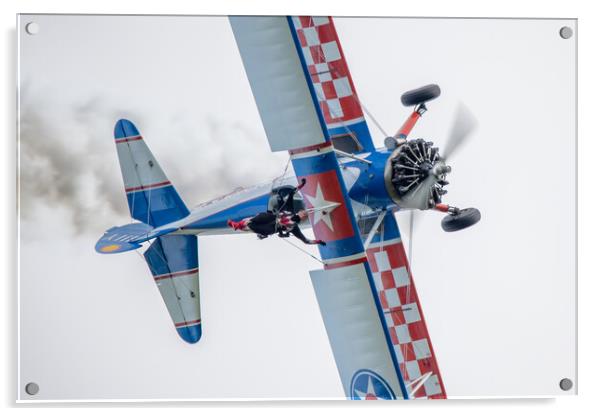 AeroSuperBatics WingWalkers Acrylic by J Biggadike
