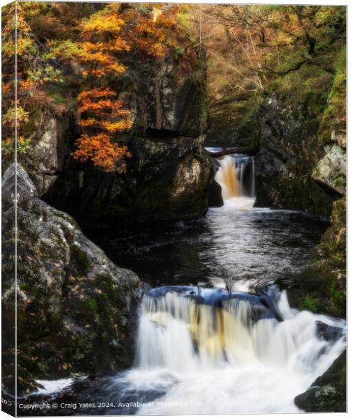 Ingleton Waterfall Trail North Yorkshire  Canvas Print by Craig Yates